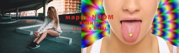 сатива Елизово