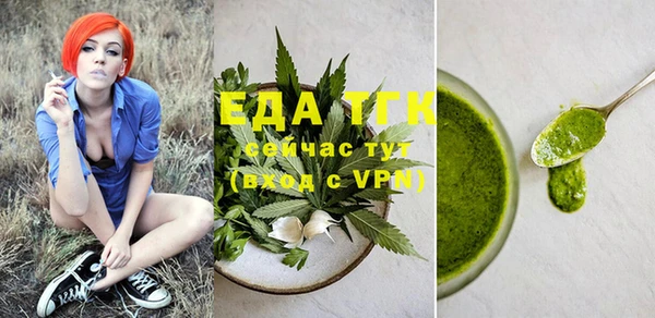 PSILOCYBIN Ельня