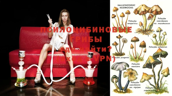 PSILOCYBIN Алексеевка