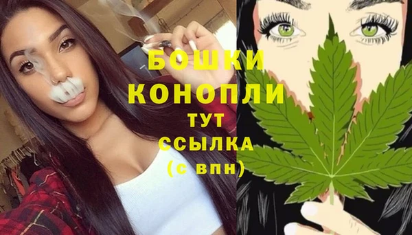 PSILOCYBIN Ельня