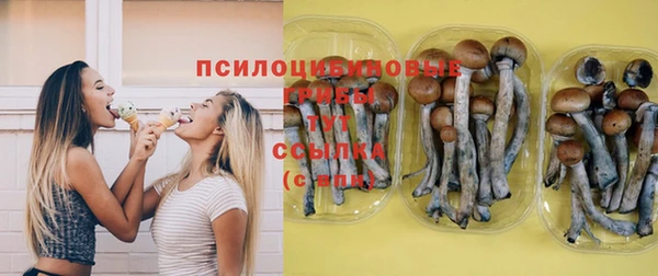 эйфоретик Алзамай